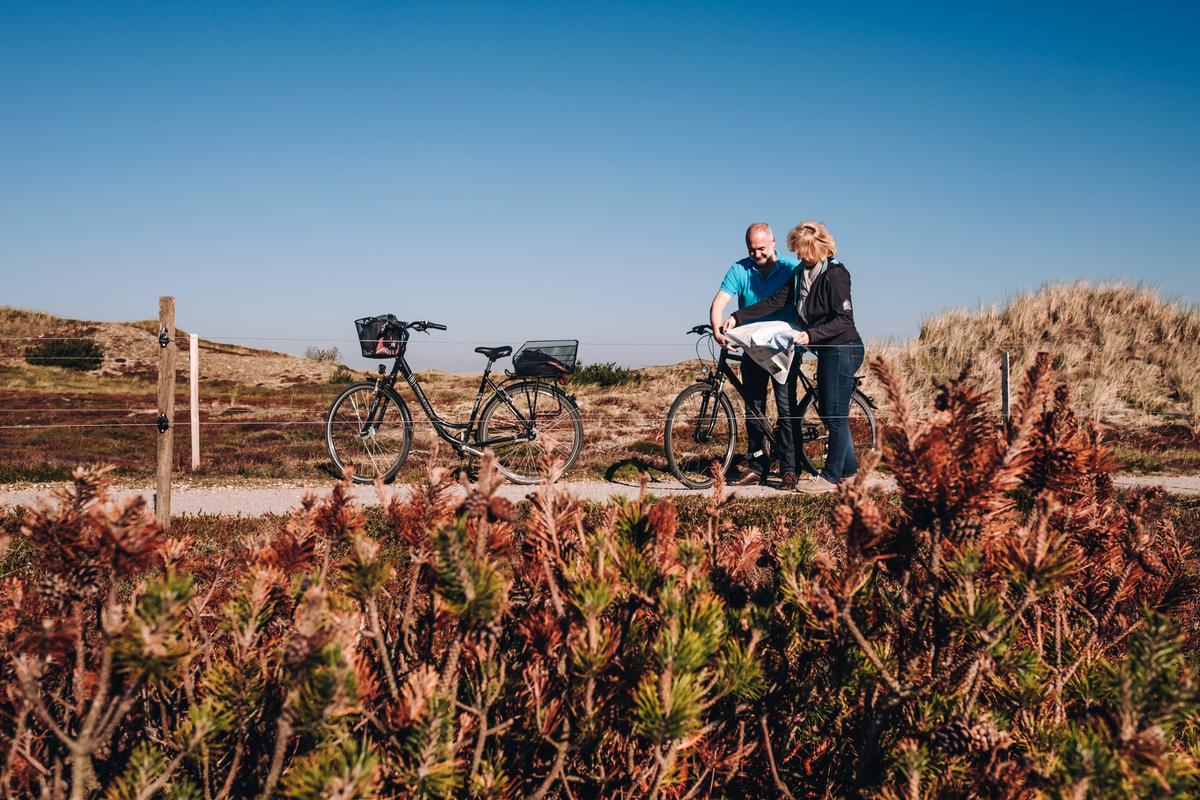 Hytter Søndervig Camping